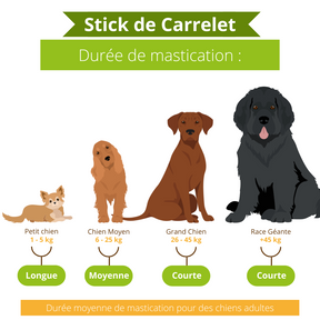 Sticks de Carrelet