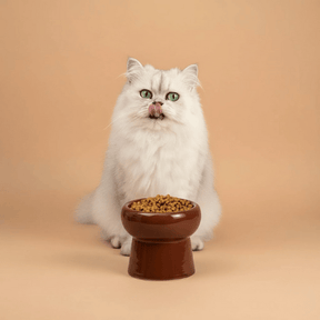 Croquettes sans céréales au Canard et aux Sardines - Chats adultes stérilisés