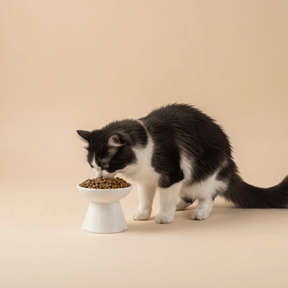 Croquettes sans céréales Dinde et Poulet pour chat d'extérieur et actif