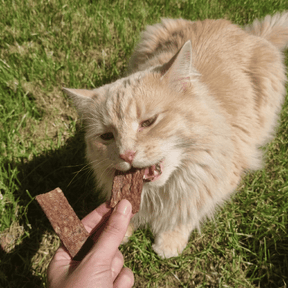 Lamelles de Venaison - Chiens et Chats
