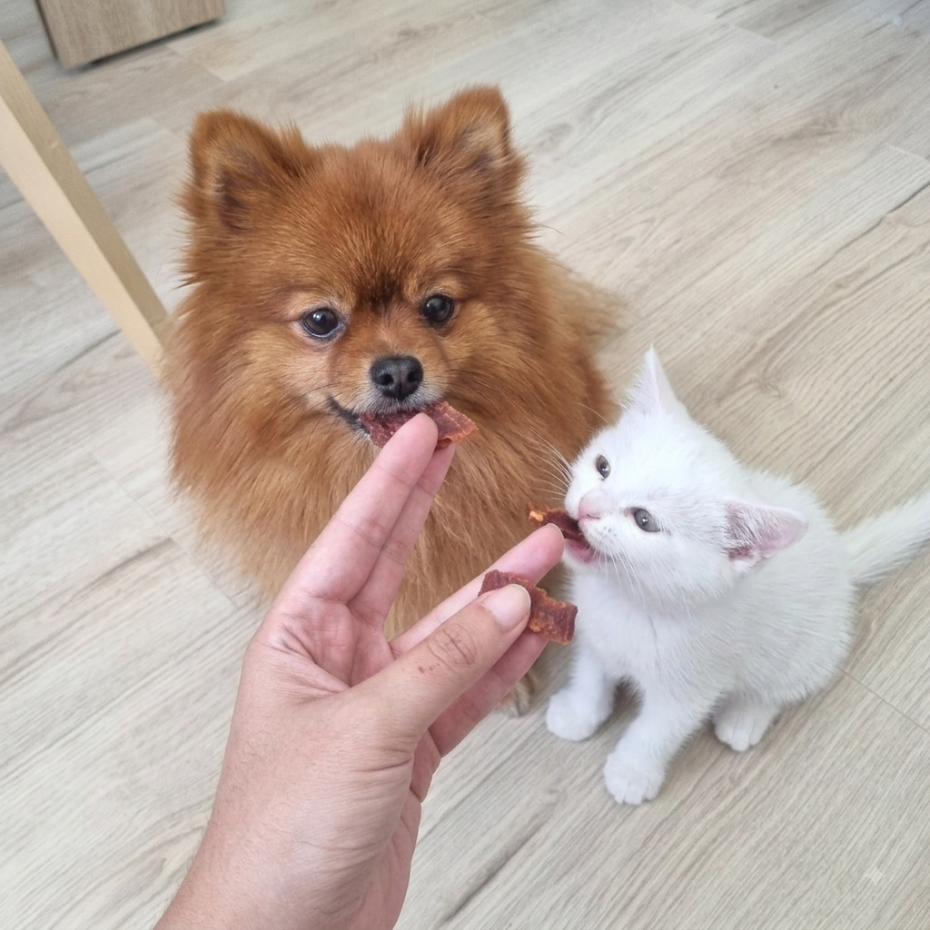 Friandises Lamelles de Kangourou pour chien et chat - Dans Ma Gamelle