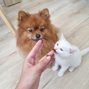 Friandises Lamelles de Kangourou pour chien et chat - Dans Ma Gamelle