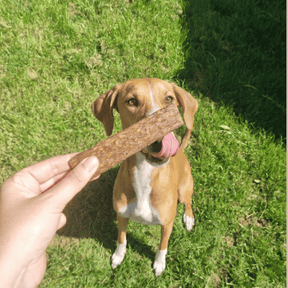 Lamelles de Venaison - Chiens et Chats
