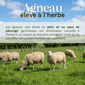 Croquettes sans céréales 65% d'Agneau Elevé à l'herbe - Chien Moyenne race