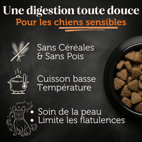 Croquettes sans céréales 65% d'Agneau Elevé à l'herbe - Chien Moyenne race