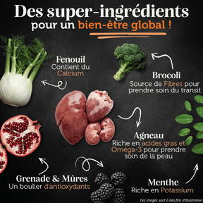 Croquettes sans céréales 65% d'Agneau Elevé à l'herbe - Chien Moyenne race