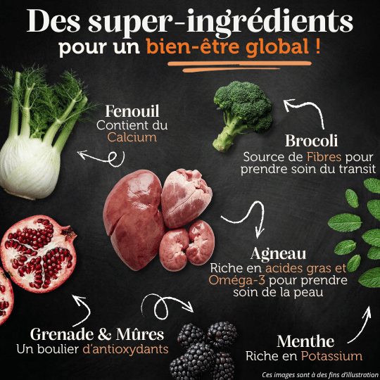 Croquettes sans céréales 65% d'Agneau Elevé à l'herbe - Chien Moyenne race
