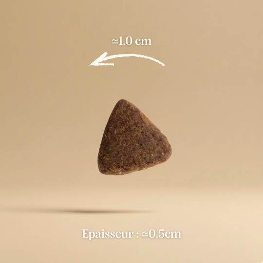 Croquettes sans céréales 65% Bœuf Angus - Chiens petites races - Dans Ma Gamelle