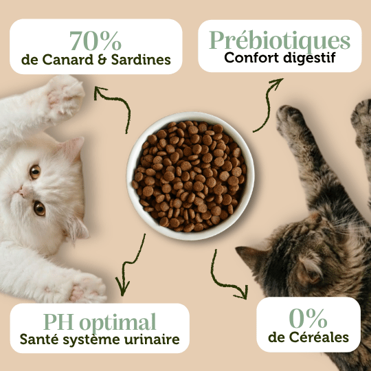 Croquettes sans céréales - Canard et Sardines pour chat stérilisé et sénior