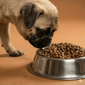 Croquettes sans céréales au Saumon & Aiglefin - Chiots (Moyennes races)