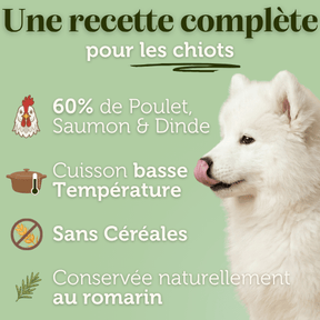 Croquettes sans céréales au Poulet & Saumon - Chiots (Moyennes races) - Dans Ma Gamelle