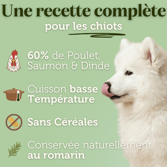 Croquettes sans céréales au Poulet & Saumon - Chiots (Moyennes races) - Dans Ma Gamelle