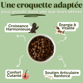 Croquettes sans céréales au Poulet & Saumon - Chiots (Moyennes races) - Dans Ma Gamelle