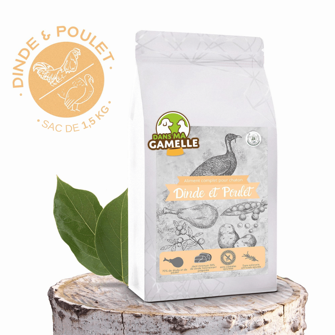 Croquettes sans céréales Dinde et Poulet - Chatons et Femelles gestantes