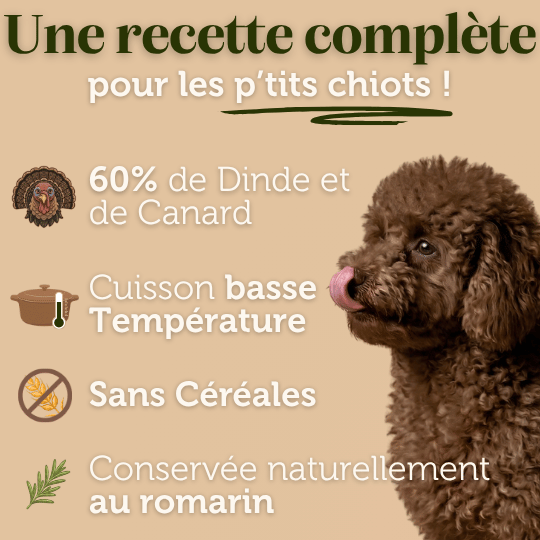Croquettes sans céréales à la Dinde - Chiots (Petites races) - Dans Ma Gamelle