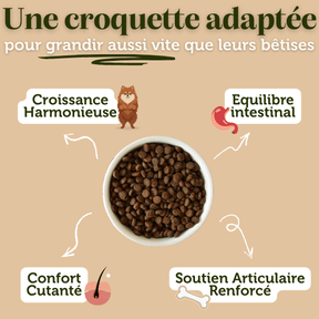 Croquettes sans céréales à la Dinde - Chiots (Petites races) - Dans Ma Gamelle