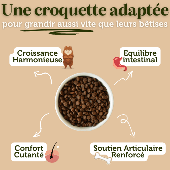 Croquettes sans céréales à la Dinde - Chiots (Petites races) - Dans Ma Gamelle