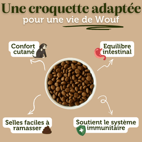 Croquettes sans céréales petit chien adulte - Dans Ma Gamelle
