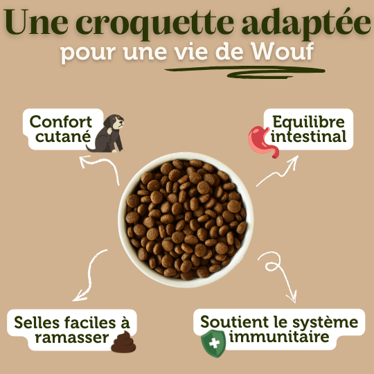 Croquettes sans céréales petit chien adulte - Dans Ma Gamelle