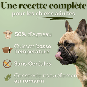 Croquettes sans céréales à l'Agneau - Chiens moyennes races - Dans Ma Gamelle
