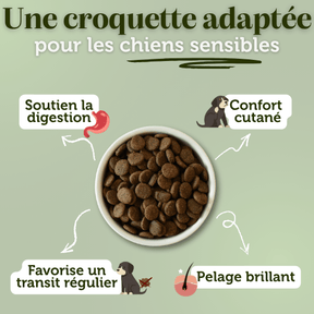 Croquettes sans céréales à l'Agneau - Chiens moyennes races - Dans Ma Gamelle