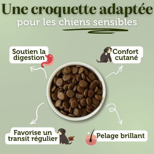 Croquettes sans céréales à l'Agneau - Chiens moyennes races - Dans Ma Gamelle