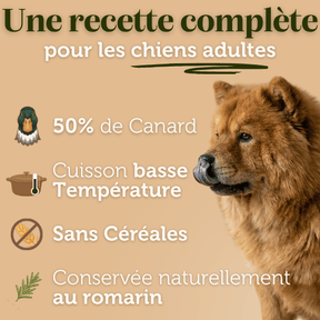 Croquettes sans céréales au Canard - Chiens moyennes races - Dans Ma Gamelle