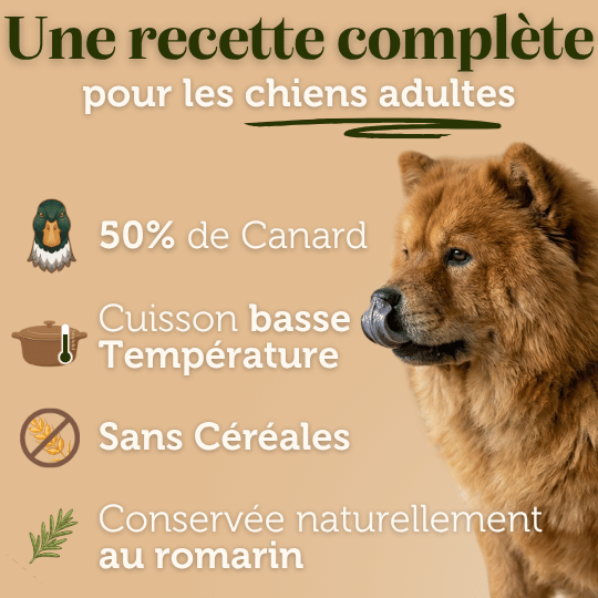 Croquettes sans céréales au Canard - Chiens moyennes races - Dans Ma Gamelle