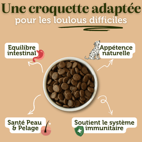 Croquettes sans céréales au Canard - Chiens moyennes races - Dans Ma Gamelle
