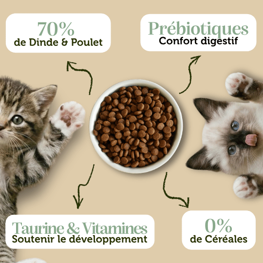Croquettes sans céréales Chaton Dinde et Poulet - Dans Ma Gamelle