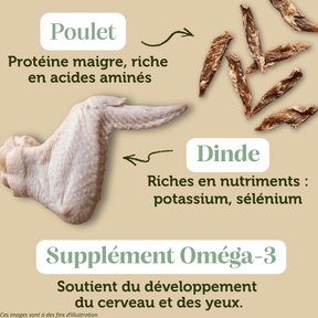 Croquettes sans céréales Chaton Dinde et Poulet - Dans Ma Gamelle