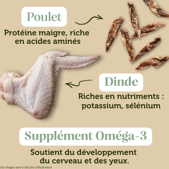 Croquettes sans céréales Chaton Dinde et Poulet - Dans Ma Gamelle