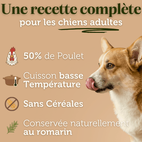 Croquettes sans céréales au Poulet - Chiens moyennes races - Dans Ma Gamelle