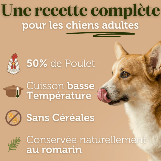 Croquettes sans céréales au Poulet - Chiens moyennes races - Dans Ma Gamelle