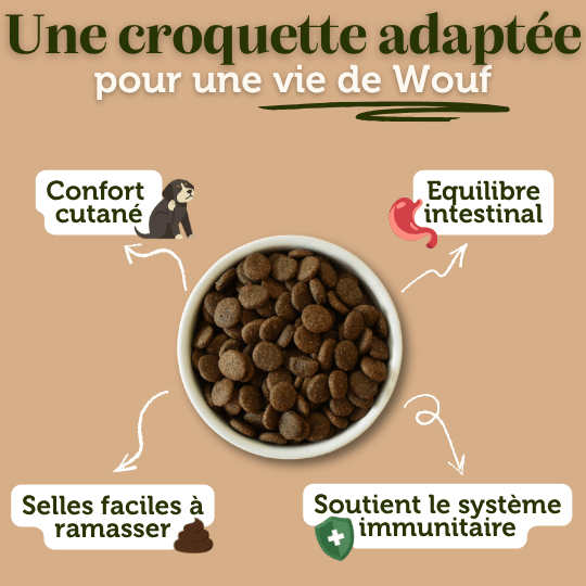 Croquettes sans céréales au Poulet - Chiens moyennes races - Dans Ma Gamelle