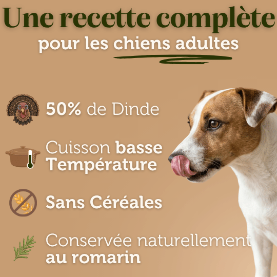 Croquettes sans céréales à la Dinde - Chiens moyennes races - Dans Ma Gamelle