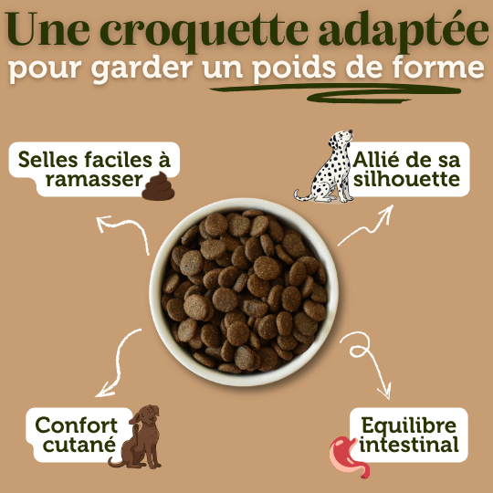 Croquettes sans céréales à la Dinde - Chiens moyennes races - Dans Ma Gamelle