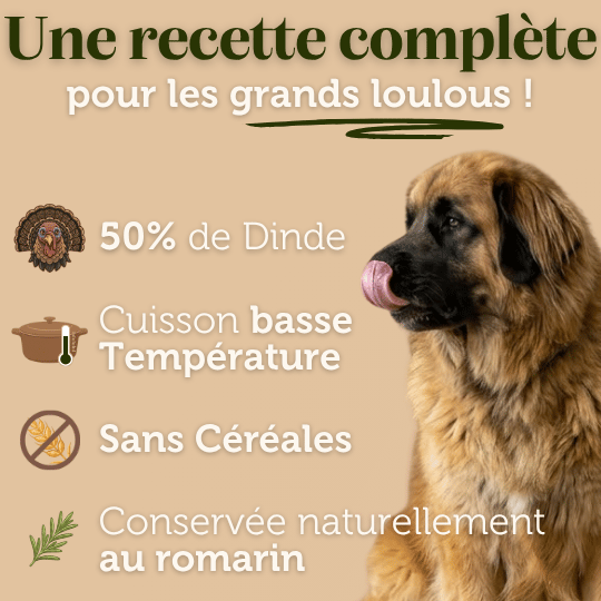 Croquettes sans céréales à la Dinde - 12Kg - Chiens grandes races - DansMaGamelle