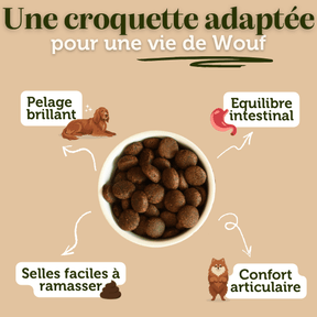 Croquettes sans céréales à la Dinde - 12Kg - Chiens grandes races - DansMaGamelle