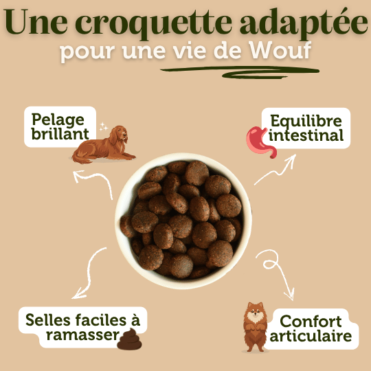 Croquettes sans céréales à la Dinde - 12Kg - Chiens grandes races - DansMaGamelle
