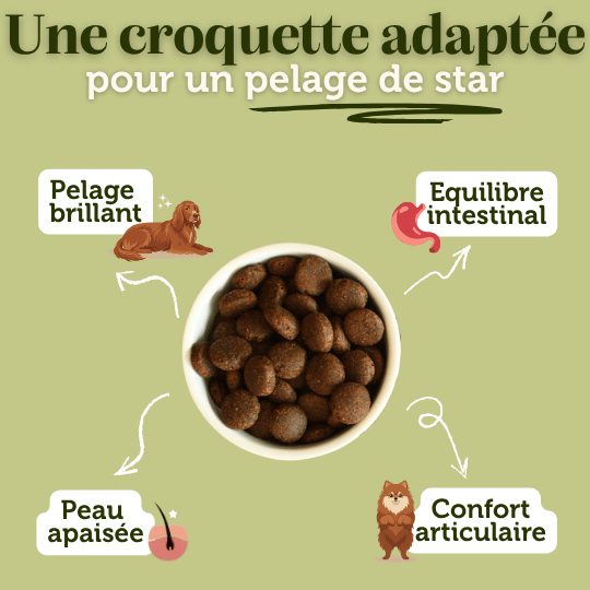 Croquettes sans céréales au Saumon - 12Kg - Chiens grandes races