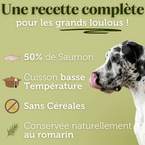 Croquettes sans céréales au Saumon - 12Kg - Chiens grandes races