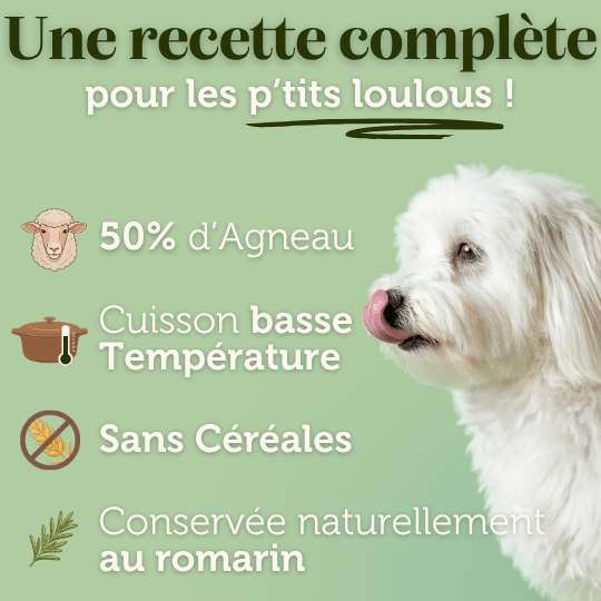 Croquettes sans céréales à l'Agneau - Chiens petites races - Dans Ma Gamelle