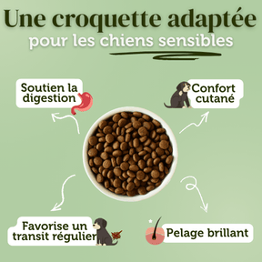 Croquettes sans céréales à l'Agneau - Chiens petites races - Dans Ma Gamelle