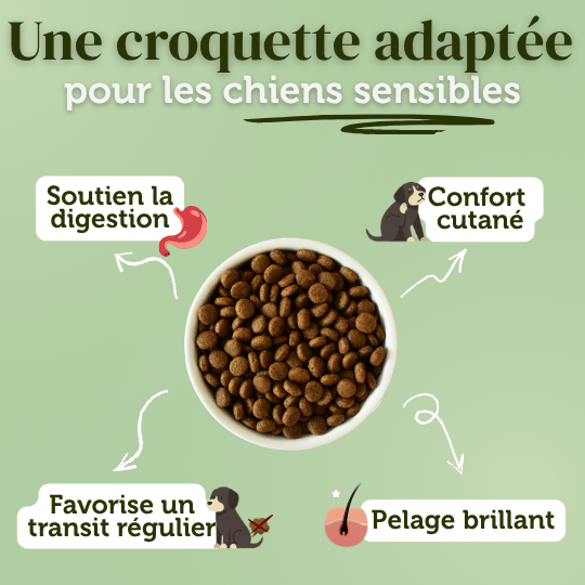 Croquettes sans céréales à l'Agneau - Chiens petites races - Dans Ma Gamelle