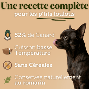 Croquettes sans céréales au Canard - Chiens petites races - DansMaGamelle