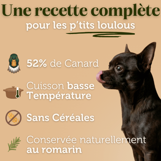 Croquettes sans céréales au Canard - Chiens petites races - DansMaGamelle