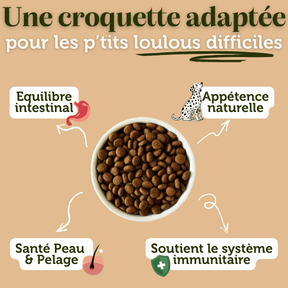 Croquettes sans céréales au Canard - Chiens petites races - DansMaGamelle