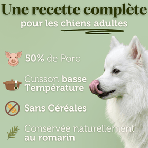 Croquettes sans céréales au Porc - Chiens moyennes races