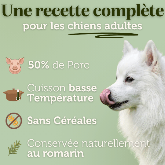 Croquettes sans céréales au Porc - Chiens moyennes races